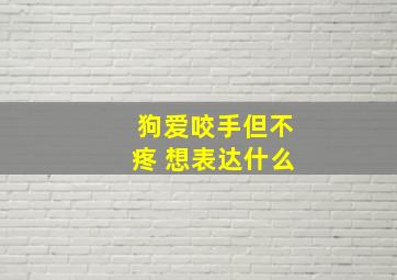 狗爱咬手但不疼 想表达什么